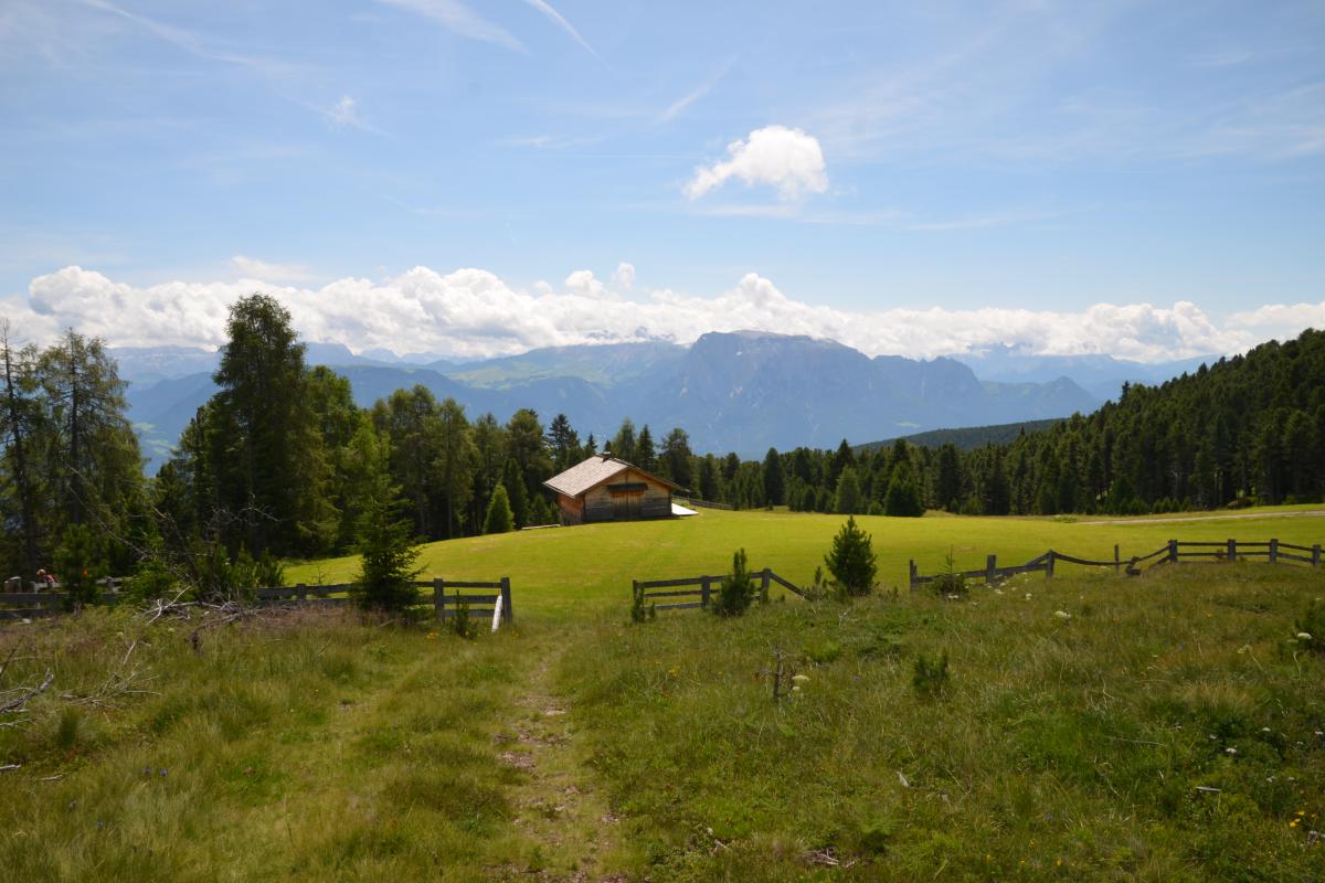 Platzer Alm 14.07.2023